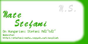 mate stefani business card